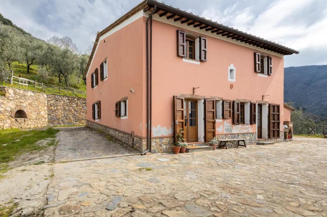 Olive House Tuscany - Zona Pisa Calci Exterior foto